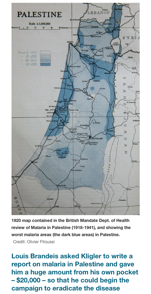 Kligler's work was made possible by a generous grant from Louis Brandeis.