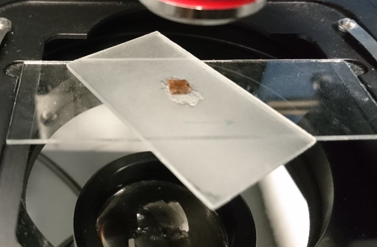 Before I can start my lab work, the machine needs to be calibrated, first with elemental silicon (very shiny!), and then I measure a reference crystal of zircon as a standard, as I will be measuring zircon inclusions today. 5/11