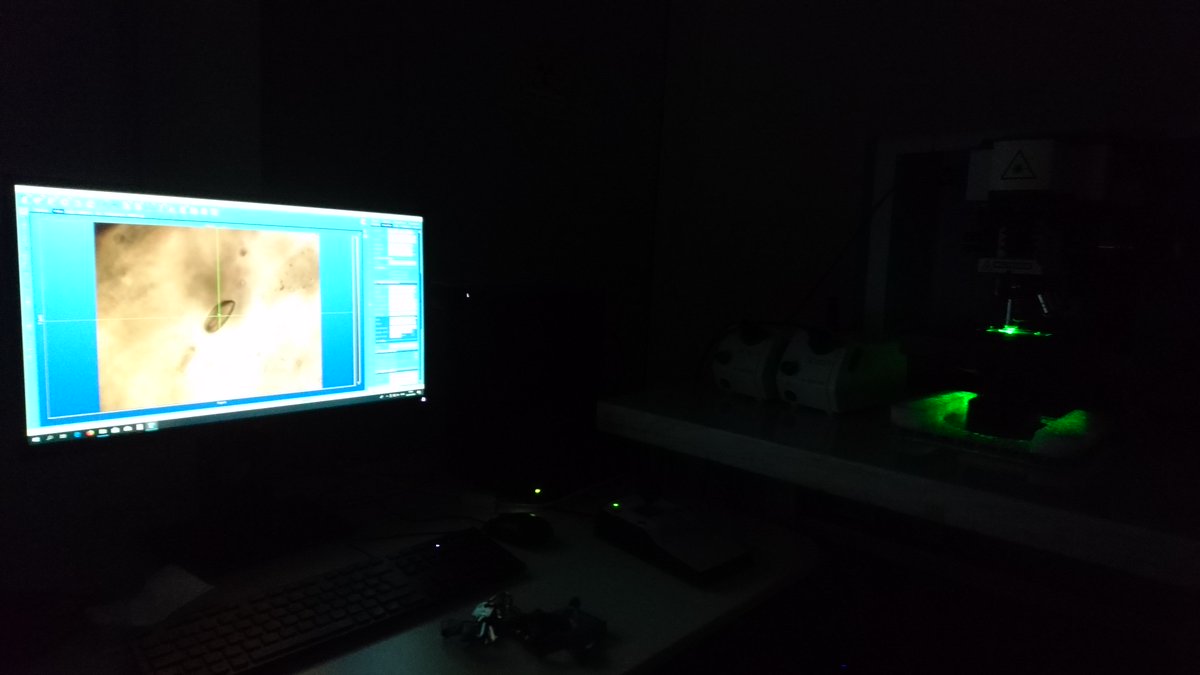 When zircon is elastically strained, certain peaks in its Raman spectrum will shift to a different position. Essentially, higher strains will result in larger peak position changes. This also works with quartz in garnet. Pics: Raman spectroscopy at work. 8/11