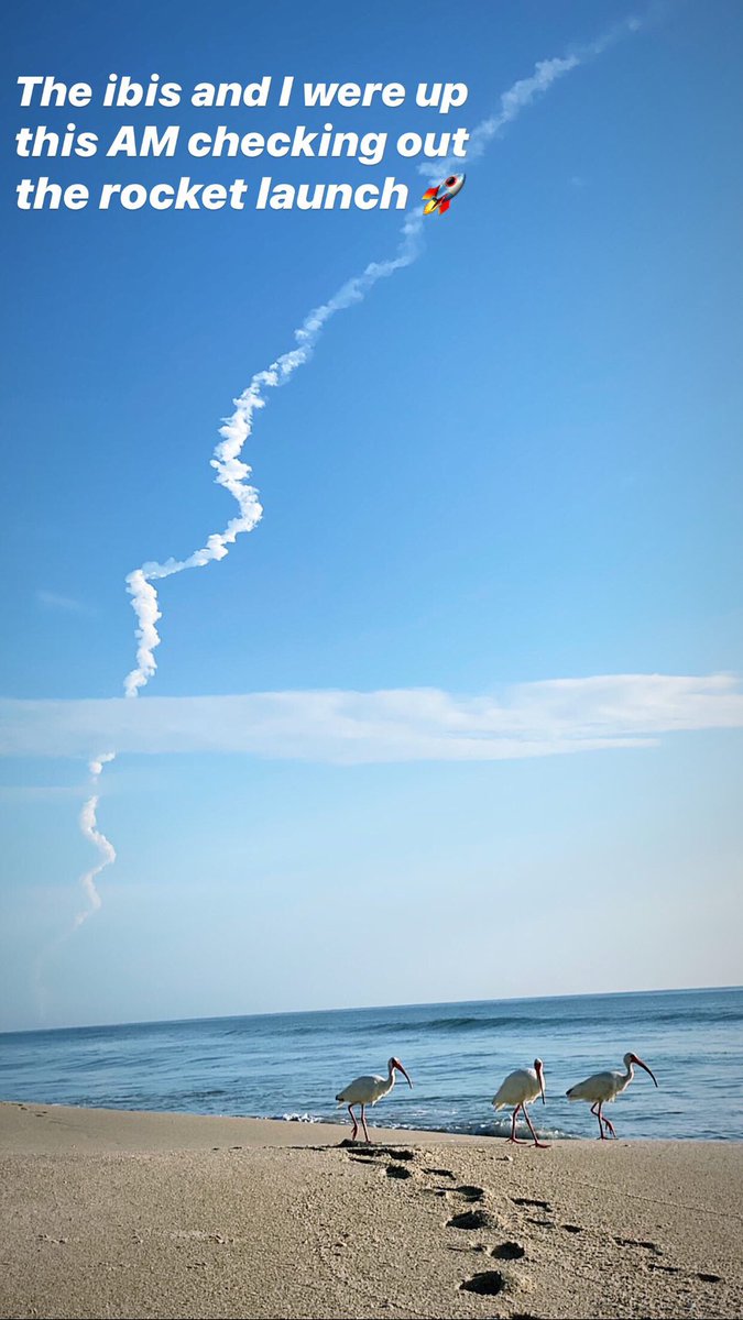 LinneaJohansson's tweet photo. Rocket launch 🚀 https://t.co/sw1TwlL3Nn
