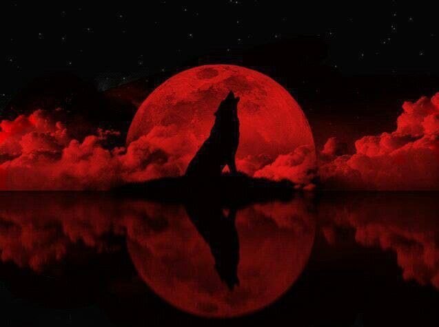 JamesJubane's tweet photo. @Rio_Robinson91 I've said it before and ill say it again. Redwolves , wolfpack, or Wolves. Idgaf. I just want to Howl with my fam!!! Aaaauuuuuuooooooooo!!! #HowlYea #Redwolves #Wolves https://t.co/MODt77xwy2