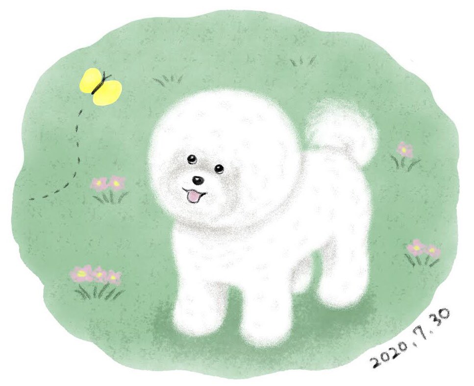 Chippoke ようこ Pa Twitter 犬絵 ビションフリーゼ イラスト デジタルイラスト 犬イラスト 犬の絵 犬 ビション