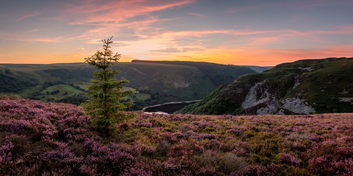 Wales' roots run as deep as our occupation of this island archipelago.From Aberystwyth to 𝗔𝗯𝗲𝗿deen, Penmachno to 𝗣𝗲𝗻zance, Pontypridd to 𝗣𝗼𝗻𝘁efract, our linguistic legacy lives.More   https://theculturetrip.com/europe/united-kingdom/wales/articles/find-out-how-wales-got-its-name  https://www.bbc.co.uk/wales/culture/sites/aboutwales/pages/history.shtml  https://www.walesonline.co.uk/lifestyle/fun-stuff/wales-called-wales-13728456