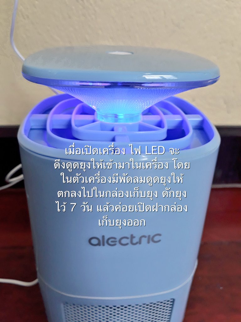 babybearlookmee's tweet image. ช่วงฤดูฝนโรคไข้เลือดออกระบาดเยอะมากกก ยิ่งบ้านใครมียุงมากวนใจเยอะ ๆ ยิ่งต้องระวังเลย ที่บ้านเรามียุงเยอะมาก ๆ ตั้งแต่ใช้ #เครื่องดักยุง ของ #Alectric แล้วหมดปัญหายุงกวนใจไปเลย ดักยุงดีมาก ๆ เป็นอีกไอเทมที่อยากแนะนำให้มีติดบ้านไว้กันน้าา 📍 #Topvalue 👉 bit.ly/2Bitx4A