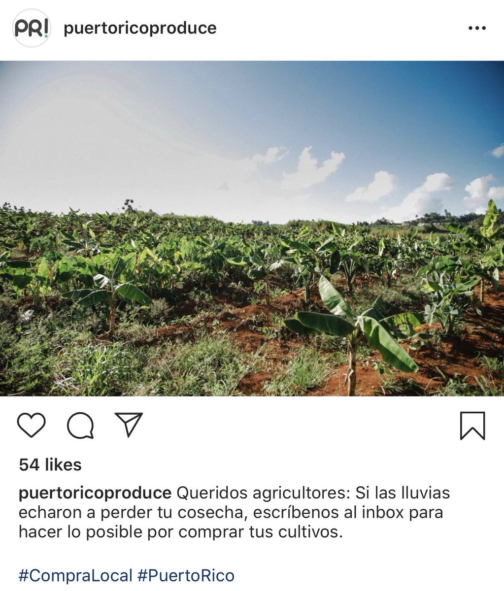 ValeriaCollazoC's tweet photo. Agricultores: Si las lluvias provocaron daños en sus cosechas, pueden escribirle por Instagram a Puerto Rico Produce. Van a hacer lo posible por comprar sus cultivos. https://t.co/45w6HCSbC4