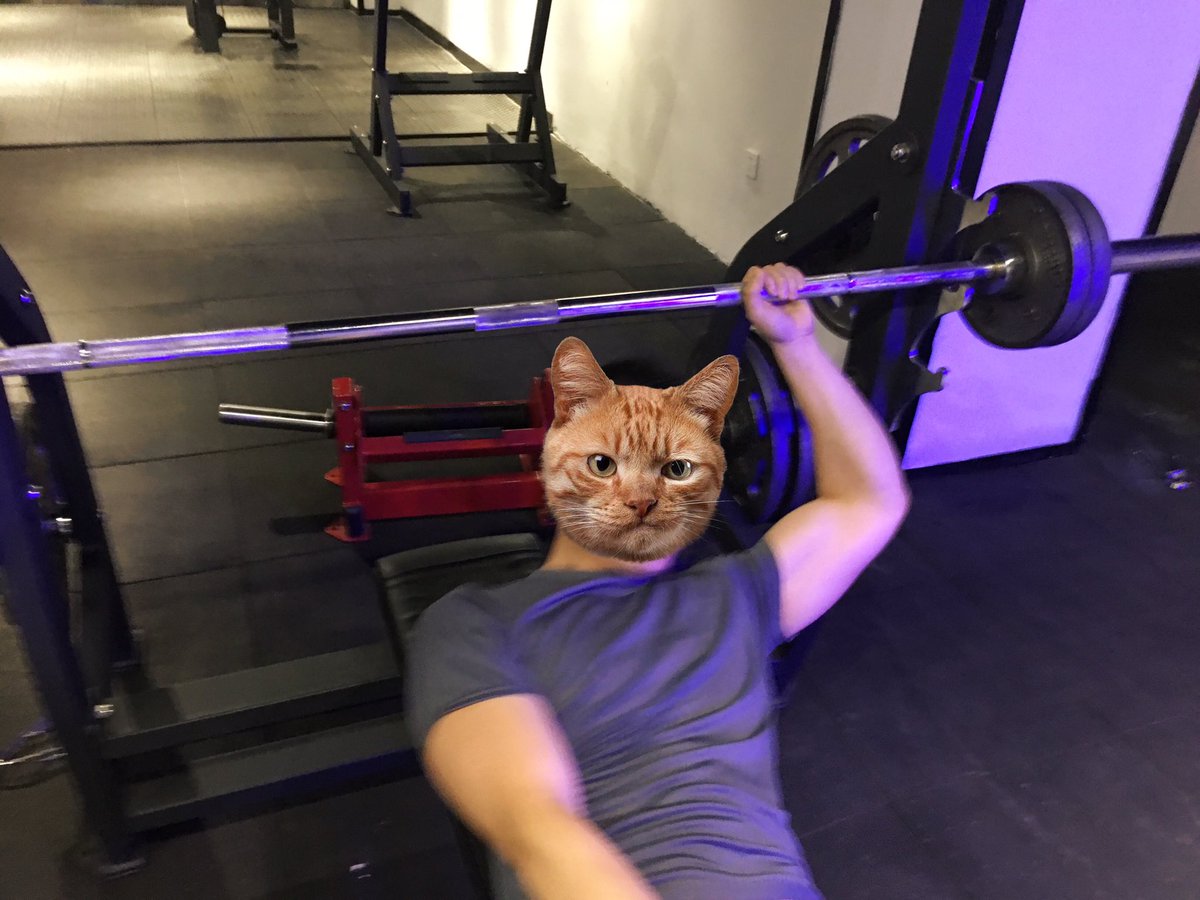 最近应酬太多，举不起来了