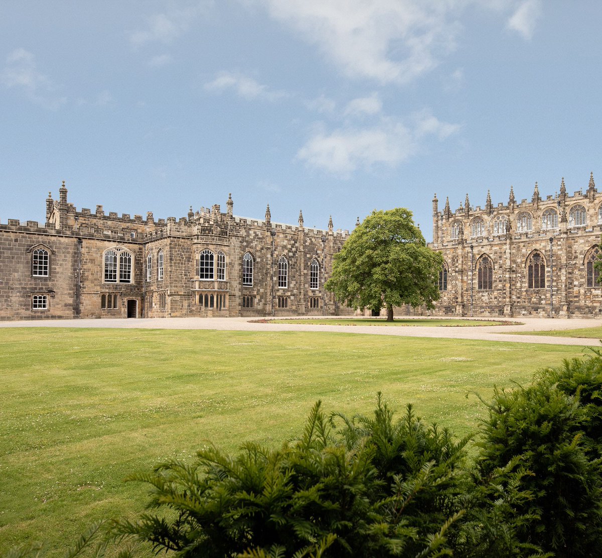 aucklandproject's tweet photo. We have reached the difficult decision that our venues will not be opening until June 2021. As with other cultural venues &amp; organisations, Covid-19 has had a significant financial impact on our work. You can read our full update here: https://t.co/AKP1z8Oj47 https://t.co/DcUsiRk18D