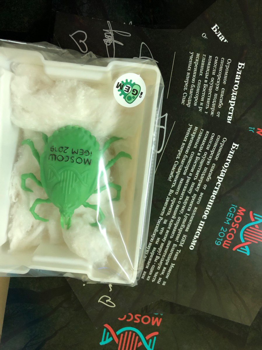 The stream with the Lyme Express team will be today at 20:00. The guys will talk about the VCL program, their project, and how to start your startup!