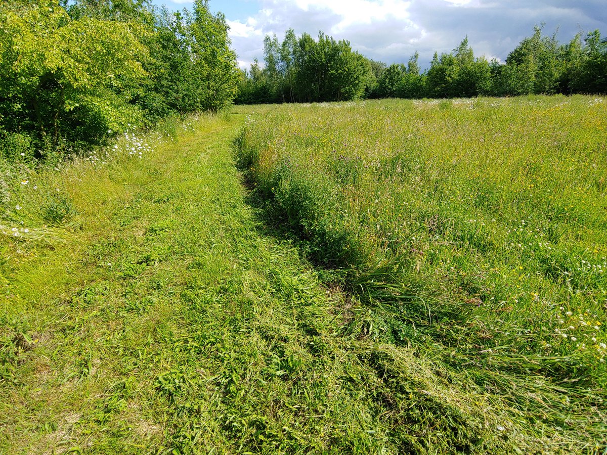 Alvecote Wood tweet media