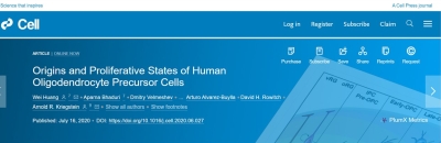 PaediatCam's tweet photo. Origins and Proliferative States of Human Oligodendrocyte Precursor Cells, with #DavidRowitch as a co-author, published now in Cell. https://t.co/NUywlvVasx #oligodendrocytes #cells #EGFR #OPC #PCDH15 https://t.co/5jZ0uovW8O