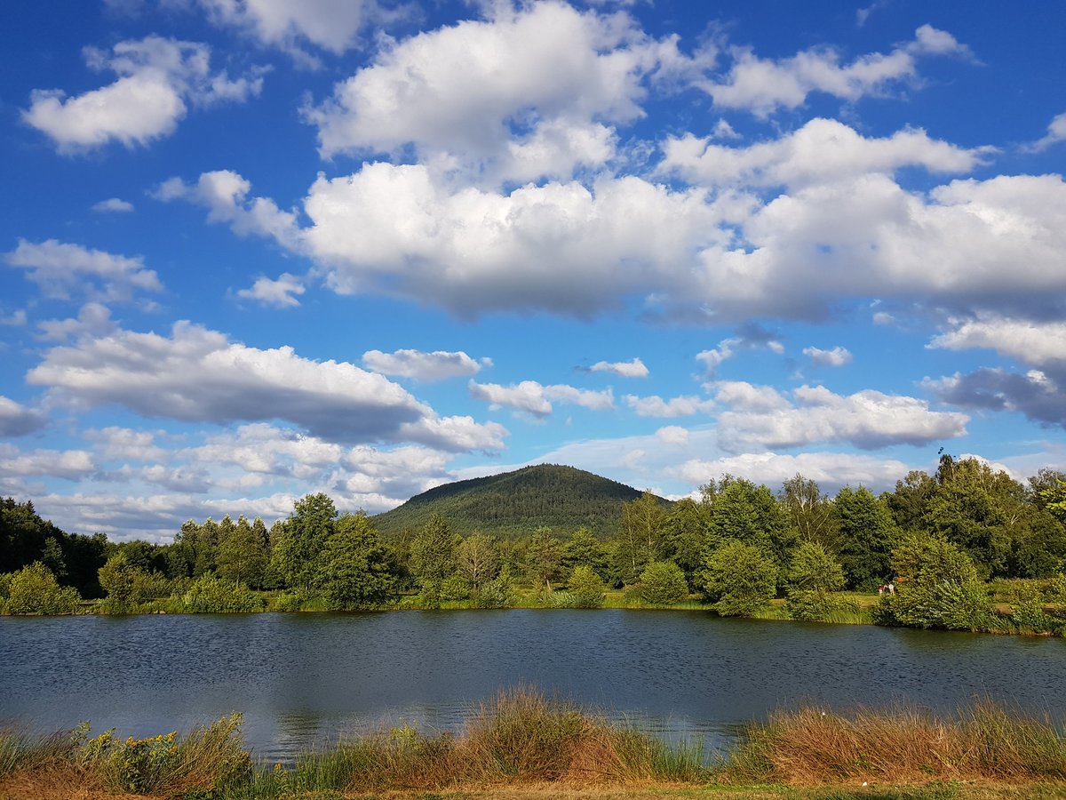 ☆~ un p'ti cc vite fait °•° ~☆
prenez soin de vous ♡