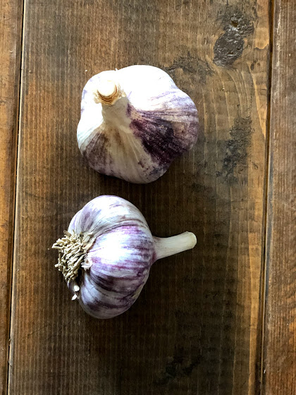 2BKVegetables's tweet photo. 𝐂𝐚𝐥𝐥𝐢𝐧𝐠 𝐚𝐥𝐥 𝐆𝐀𝐑𝐋𝐈𝐂 𝐥𝐨𝐯𝐞𝐫𝐬!!⁣
⁣
Garlic is on the shelf and YOWZA this is going to keep the vampires away!⁣
⁣
https://t.co/1dhooXGdhe⁣ 🥕 https://t.co/3on3fqewwK