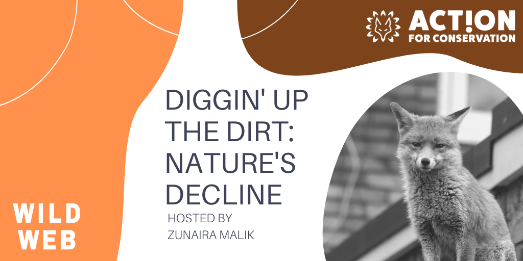 Action4Conserv's tweet photo. 🌍The first #WildWEB #Webinar on our new topic 'Nature Unearthed' is next week!!! 🎉

'Diggin' Up the Dirt: Nature's Decline' 👷🏼���♂️
will be hosted by AFC's Programme Coordinator Zunaira Malik! 🦊

If you’re 13-17 &amp; would like to sign up see our website, link in bio! https://t.co/ZrGeFv9aot