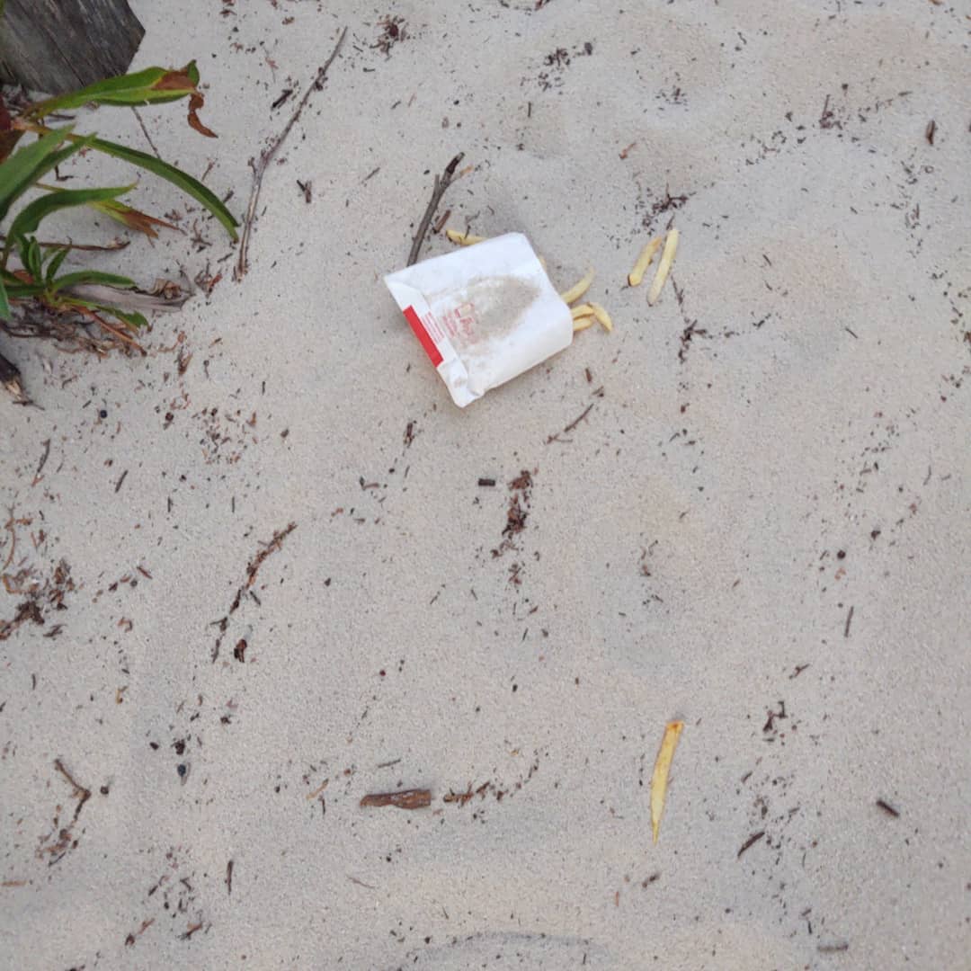 PY_CCM's tweet photo. Today's book discussion is on Wild by Cheryl Strayed. After release in 2012, and the movie from 2014, the @pctassociation started a #responsiblywild campaign. We should all "leave no trace".
Pictures of what others left behind seen during 7/29 Island Beach State Park visit. https://t.co/ZYIA38GlWR