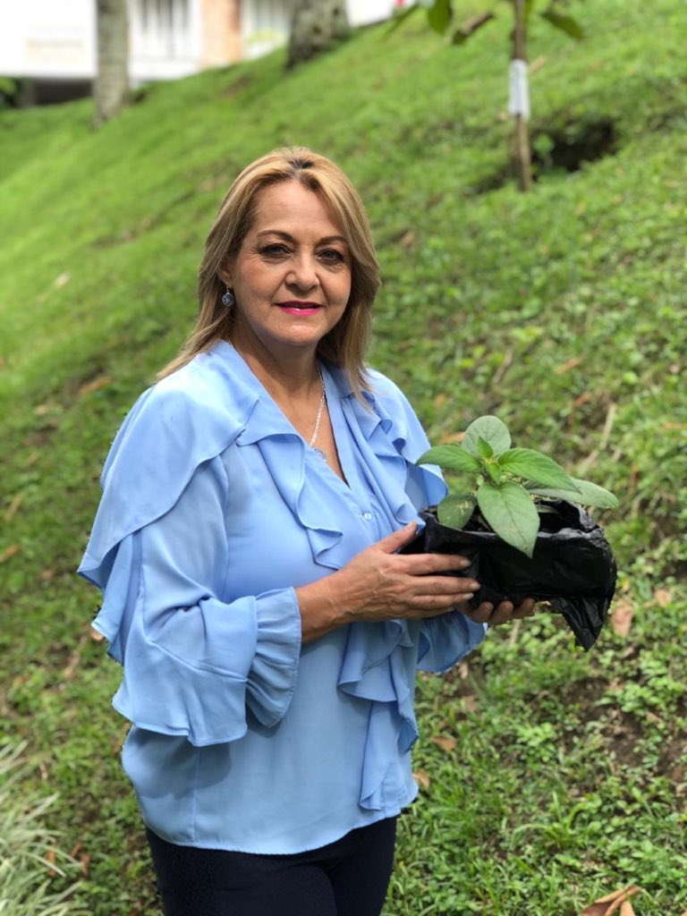 aydeelizarazoc's tweet photo. #ColombiaReforesta un programa que hoy iniciamos con varios congresistas de diferentes bancadas para promover la siembra de árboles en nuestro país. @PartidoMIRA @erwinarias https://t.co/neUPdOt5VZ