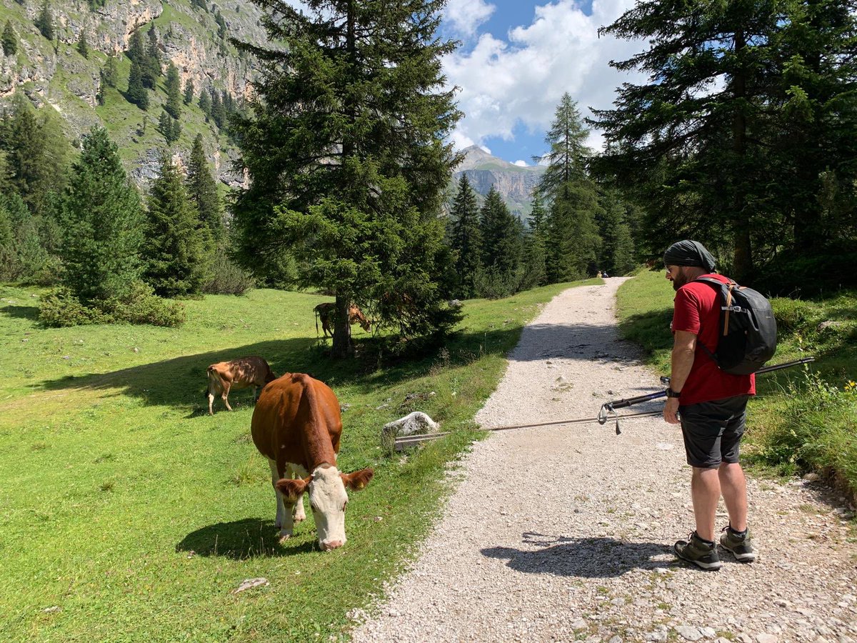 zazandrea's tweet photo. #Vallunga nel cuore del parco del #PuezOdle a #SelvaGardena. ⛰ #Valgardena #Dolomiti #puez #odle #sudtirol #altoadige https://t.co/vij47lZmYu