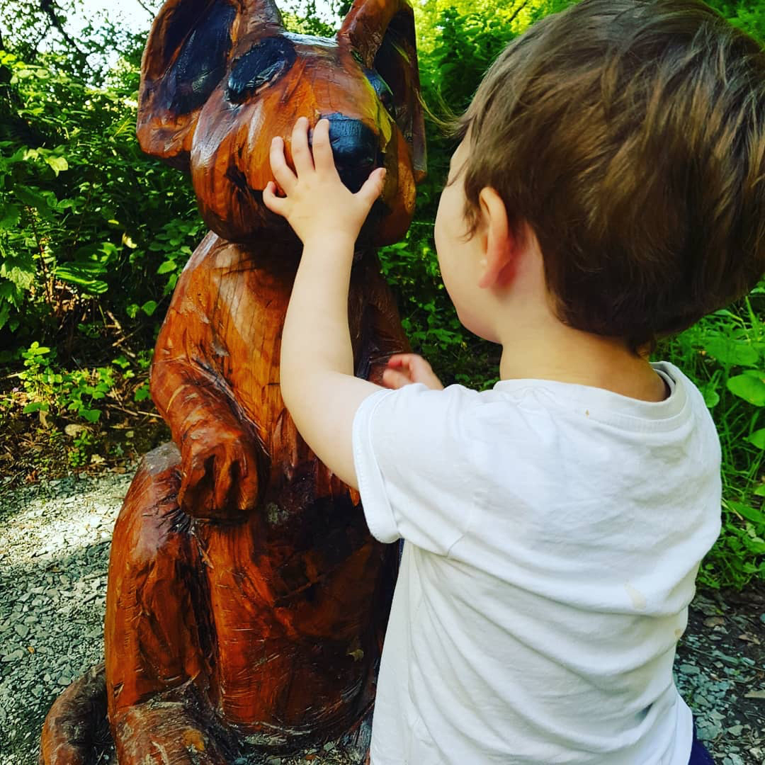 Wells_House's tweet photo. "He really loved that mouse๐ ๐ ๐ #wellshouse #mylove #premeltdown"
repost @gwezy https://t.co/jTU1UjDVLa
