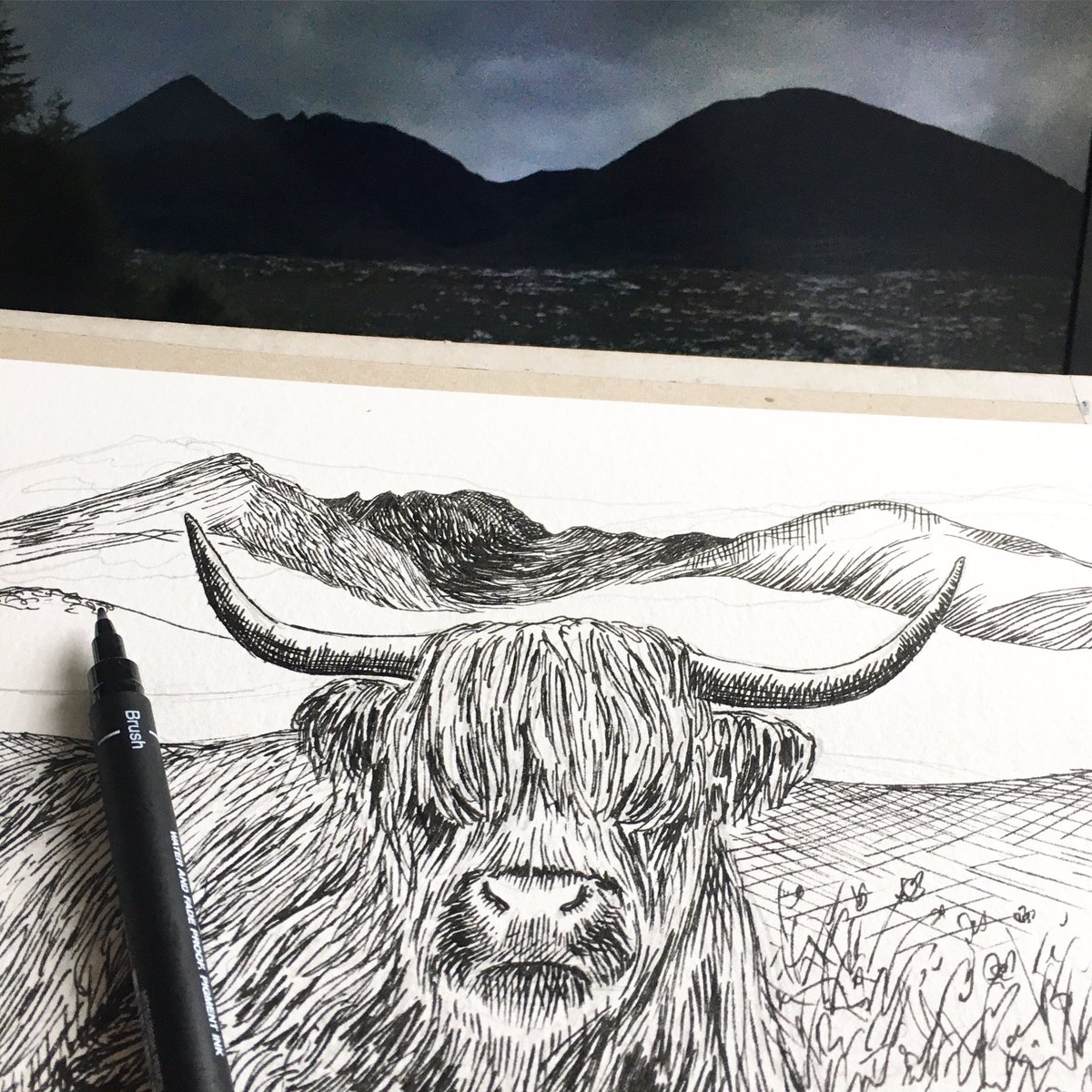 Inspired by our trip to Wester Ross I’m mixing a few photos together to add some peaks behind this beautiful highland cow. 
A work in progress but I’ll let you know how I get on 😊
#highlandlife #highlandcow #visitscotland #wip #highlandcowsofinstagram #ink #scotlandsketcher
