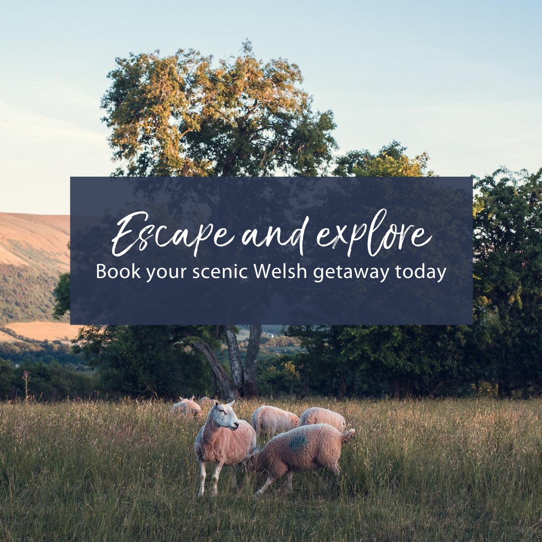 ArgoedOutdoor's tweet photo. Looking for a scenic #staycation this summer?
Come & stay at our traditional 19th century Welsh farmhouse, situated in the spectacular #BreconBeacons National Park.
Find out more & book your Welsh mountain getaway today: https://t.co/vJ4nKsEdel
#MountainStays #EscapeAndExplore https://t.co/N2Wm7sEjSl