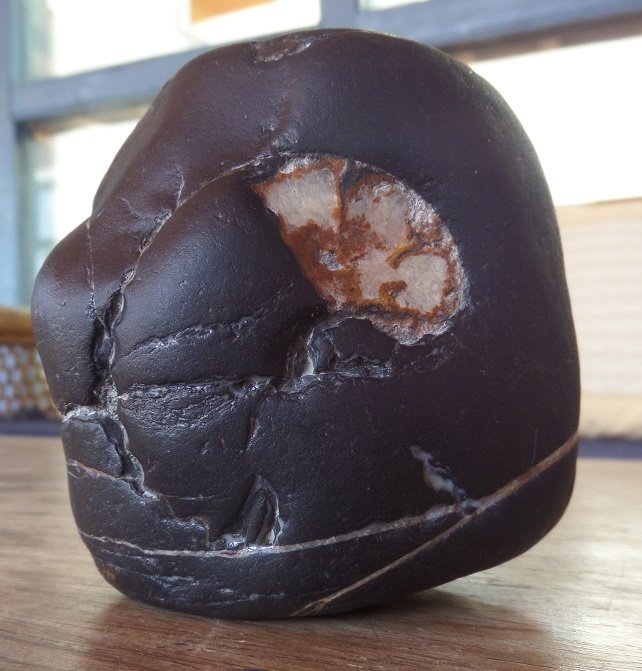 The news has my blood pressure up this morning, but there's nothing like a good  #FolkloreThursday Shaligram thread for a moment's respite!Here today, then, is the Madhusudana Shaligram!