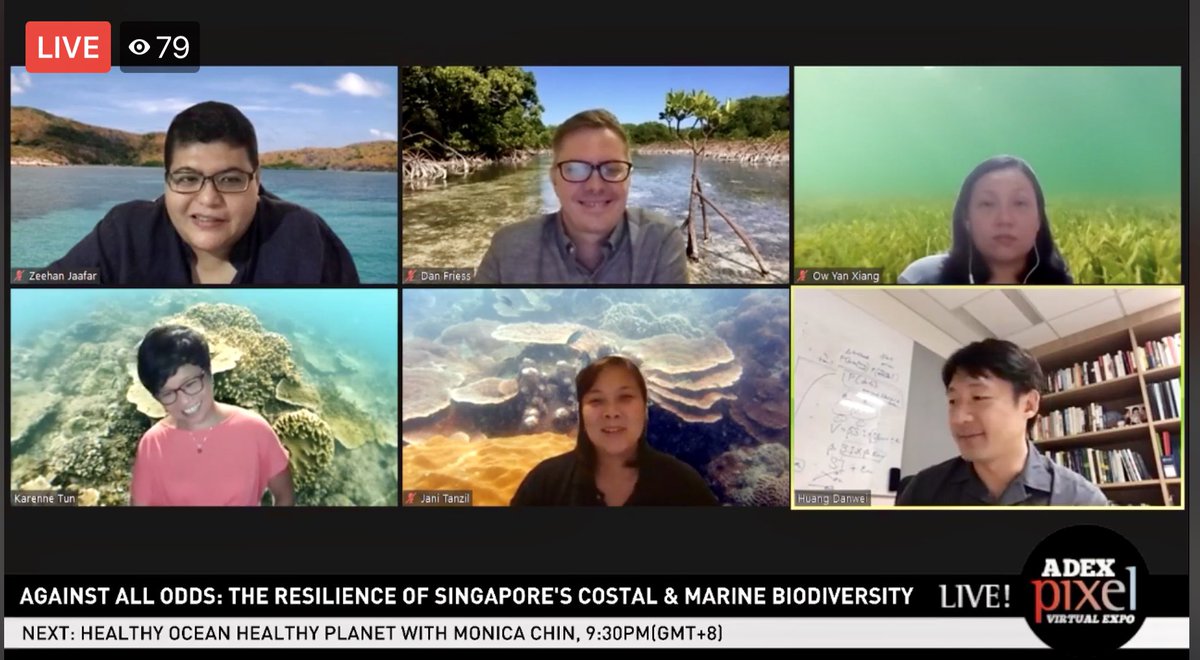 Heartening to have experienced researchers not just share about their #conservation work but also speak up for the protection of our coastal and marine #ecosystems and our #ocean #environment | #Science #sustainability #FriendsOfMarinePark