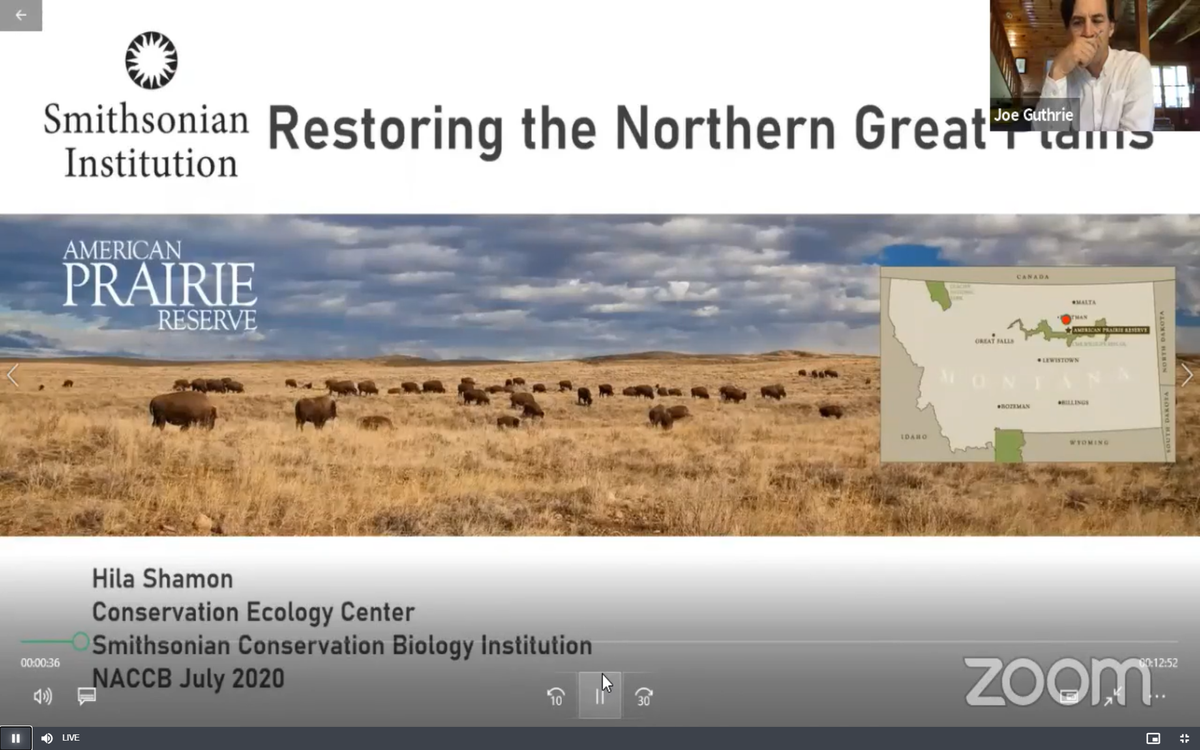 Restoring the Northern Great Plains from  @HilaShamon  @smithsonian  @NationalZoo  @AmericanPrairie  https://www.hilashamon.com/&nbsp; #NACCB2020  #Conservation  #ScienceForAll