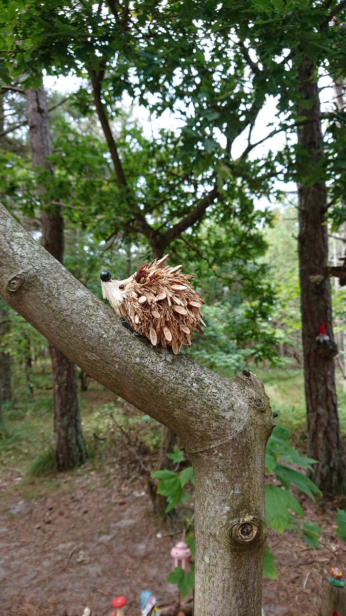 #mylifeinpictures Geen woorden, geen mensen. Uitgedaagd door <a href="/RobWitjes/">Rob Witjes</a>. 
Beste <a href="/Pilotwin/">ぴーまま</a> neem jij de uitdaging aan? Zeven dagen uit je leven?