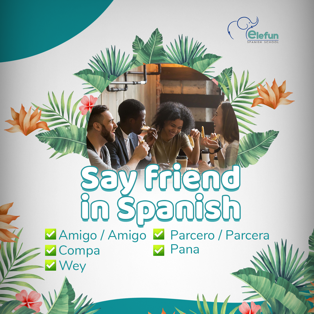 ElefunSpanish's tweet photo. Did you know that today is International Friendship Day? 💡

In honor of this day, today at Elefun we send a special greeting to all those special people who have trusted us and become our friends. https://t.co/Gx3fM0pIOe