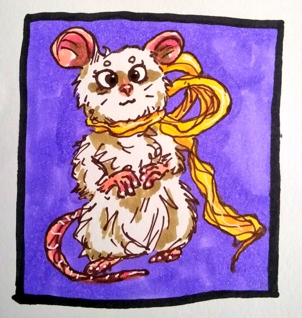 #rodent #pets #mouse #rat