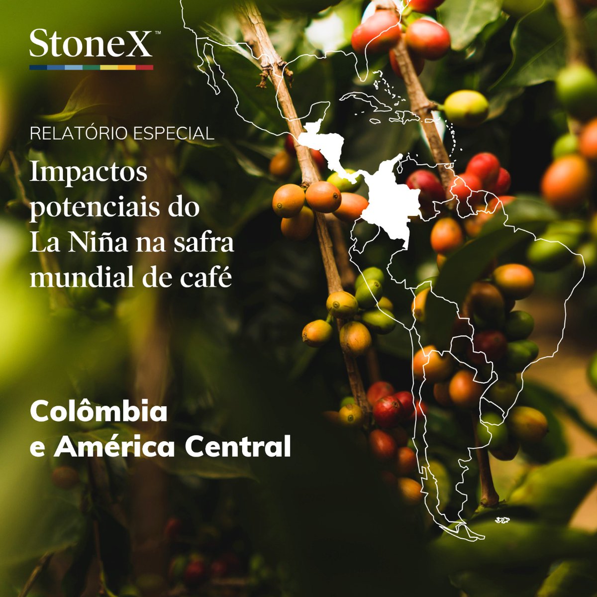 Acesse a primeira parte do relatório especial da <a href="/CoffeeNetworkUS/">CoffeeNetwork</a> e StoneX, “O impacto potencial do La Niña sobre a safra mundial de #café", para a Colômbia e América Central: bit.ly/3ff62Y7