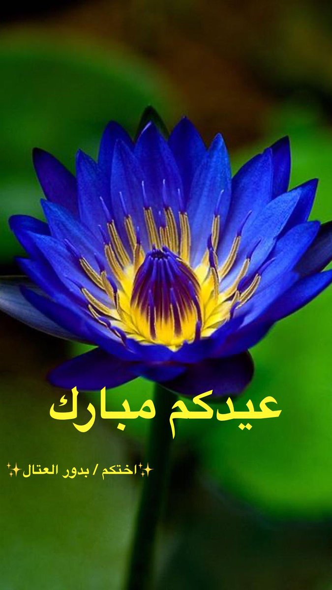 AtalBodour's tweet photo. #bareec_kuniv
🌹🌹💙🌹🌹 https://t.co/j8ZBzuNVqK