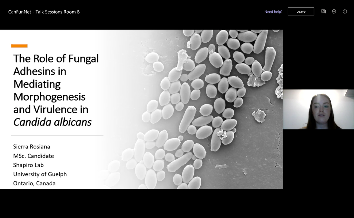 grace_kim99's tweet photo. Great talk from @sierrarosiana on the role of fungal adhesins in mediating morphogenesis and
virulence in Candida albicans at #CanFunNet20! 👏👏👏 https://t.co/DmeK9k8sxz