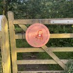 Photo by Bury'd Treasure (@TreasureBury)