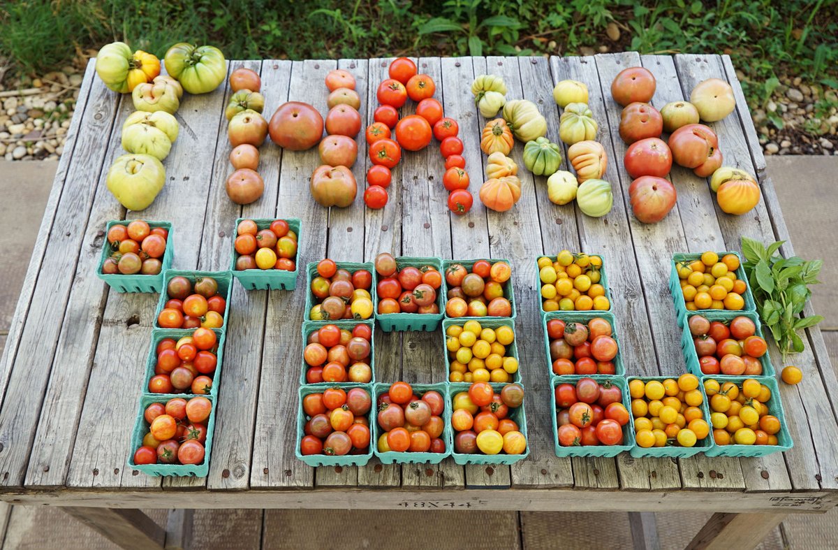 Brooklyn Grange (@brooklyngrange) on Twitter photo A simple message to our NYC restaurant fam: Thank You. It’s been a wild year and we are so inspired by your resilience. @TheQueensboro <a href="/GersiRestaurant/">Gersi Restaurant</a> <a href="/abcvnyc/">ABC V</a> <a href="/RobertasPizza/">Roberta's Pizza</a> <a href="/eggrestaurant/">Egg, Brooklyn</a> <a href="/glasserienyc/">glasserienyc</a> and many more! #NYC #NYCRestaurants #86covid A simple message to our NYC restaurant fam: Thank You. It’s been a wild year and we are so inspired by your resilience. @TheQueensboro <a href="/GersiRestaurant/">Gersi Restaurant</a> <a href="/abcvnyc/">ABC V</a> <a href="/RobertasPizza/">Roberta's Pizza</a> <a href="/eggrestaurant/">Egg, Brooklyn</a> <a href="/glasserienyc/">glasserienyc</a> and many more! #NYC #NYCRestaurants #86covid