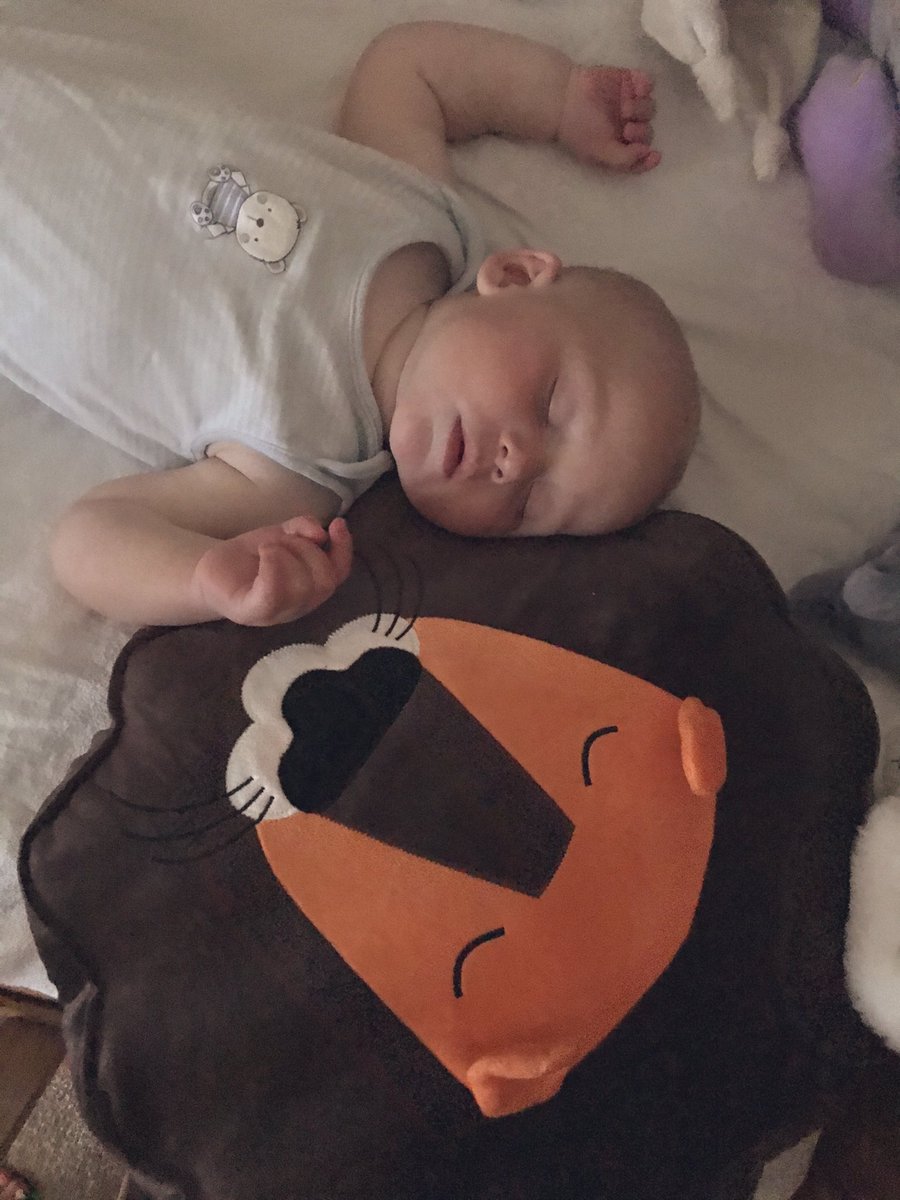 CountryPiskey's tweet photo. @IKEAUK this little human loves Lions and snuggles up to this beaut every night (until he makes his way into our bed) 🥰 #ikealion #ikea #sleepinglions https://t.co/Xk3U4tH3Xt