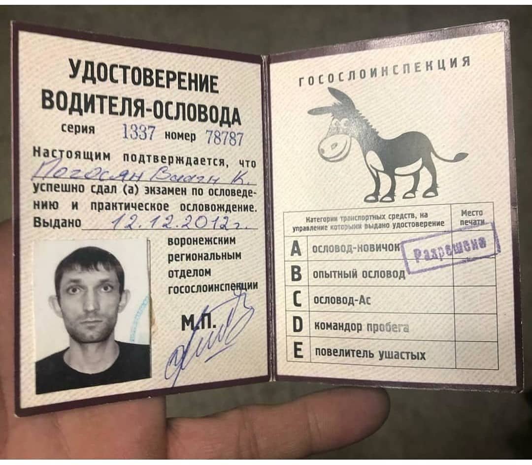 Удостоверение водителя осла