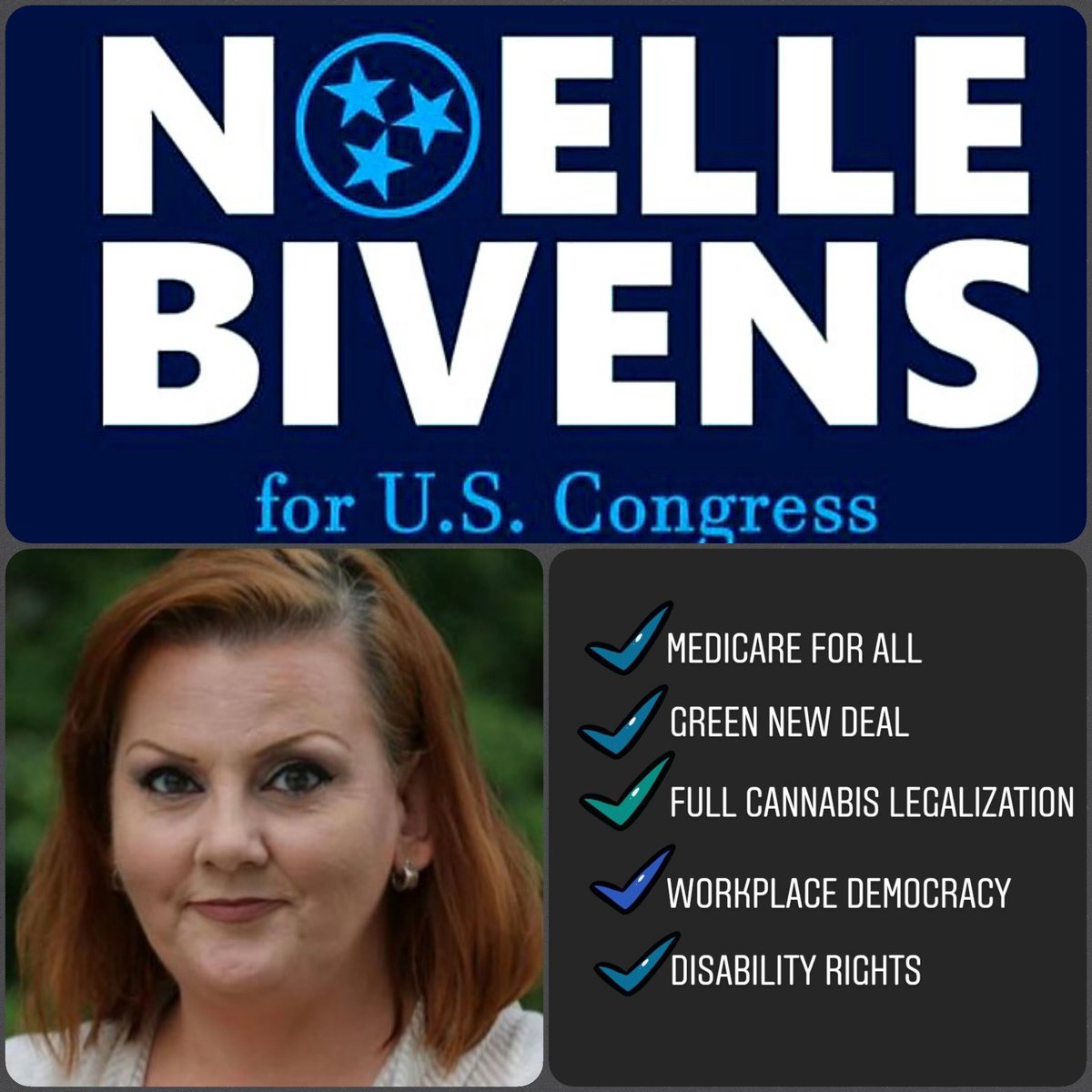  #GiveHellVoteNoelle We need more integrity in Congress and Noelle Bivens ( @Noelle4TN) is the key for Tennessee District 4Let’s help her win  #TennesseeDonate:  http://bit.ly/noelle4tn&nbsp;Volunteer:  http://bit.ly/vol4noelle&nbsp;