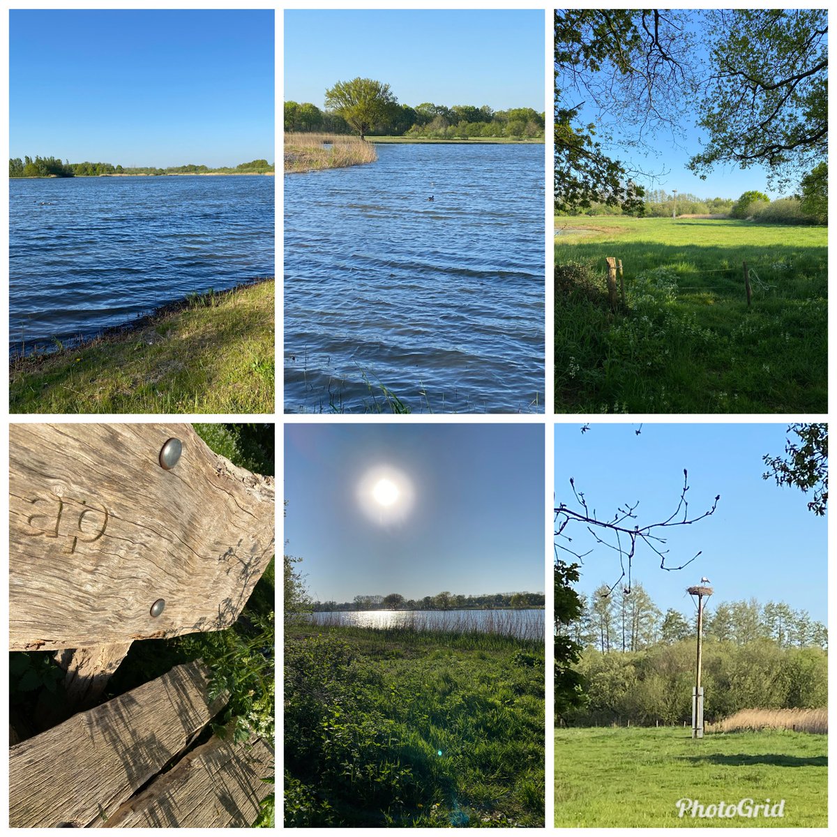 Dag 4/7 #mylifeinpictures genomineerd door ⁦<a href="/Averv1/">a. verveen</a>⁩