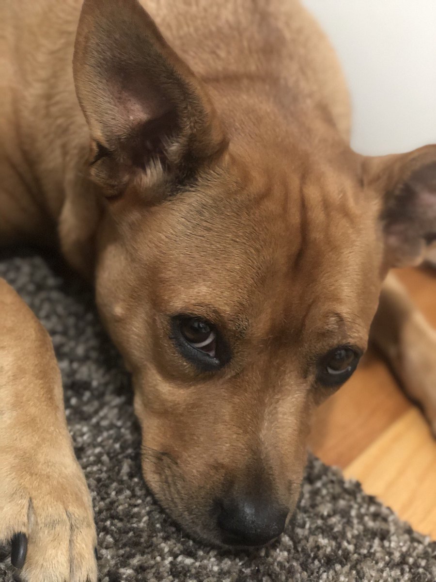 Day 2/7 - A surgeon’s life in pictures, no people, no words. Nominate someone. Today I’m nominating the super great <a href="/GosztylaC/">Carolyn Gosztyla, MD, FACS, FAAP</a> !