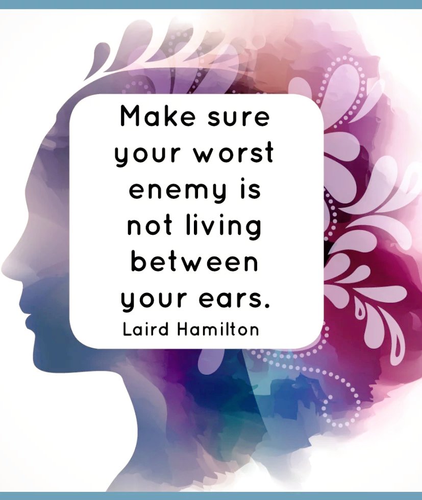 JORDAN & (Phoenix Conure) (@cinnaphoenix) on Twitter photo 