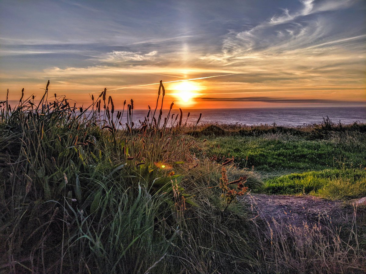 VictoriaGuy_'s tweet photo. Kernow Bys Vyken #Cornwall https://t.co/ckQIk0JB7m
