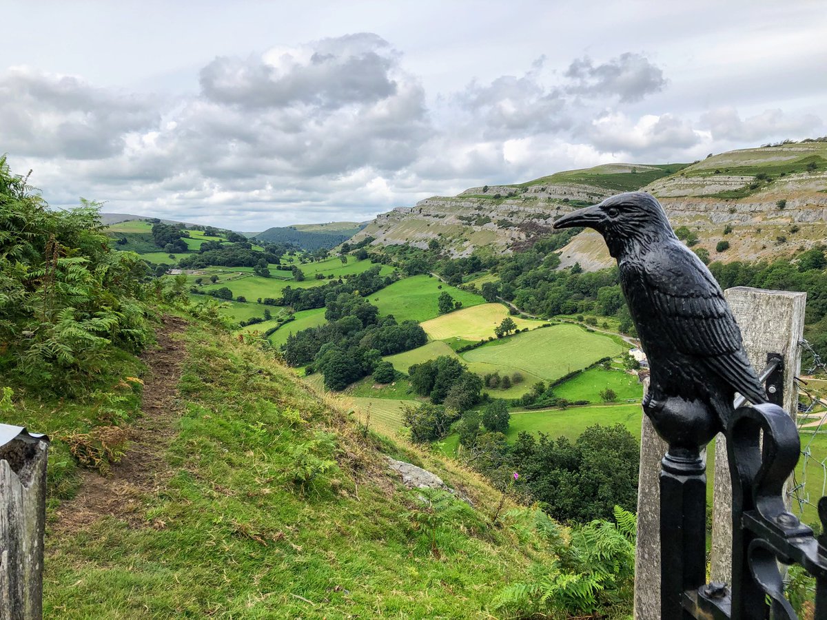 ___batshitcrazy's tweet photo. Yesterday I visited my favourite place with the big lad. So lucky to live close to such beauty. #dinasbran #NorthWales #CrowCastle https://t.co/9w0lNLvgoH