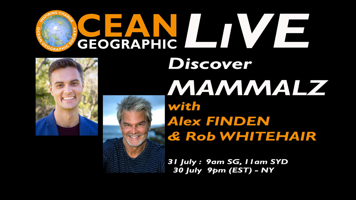 mammalzpbc's tweet image. Tune in to Ocean Geographic LIVE tonight at 6 PM PST with Mammalz Co-founders Rob Whitehair and Alex Finden!
#Mammalz #Live #thursdaymorning 
facebook.com/OceanGeographi…
