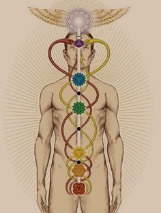 Kuṇḍalinī dans son éveil pénètre à l'intérieur de Suṣumṇā et traverse les différents points d'énergie et monte le long de la colonne vertébrale, harmonisant les Chakras en progressant, un par un. C'est une énergie qui monte et descend à travers la Suṣumṇā.