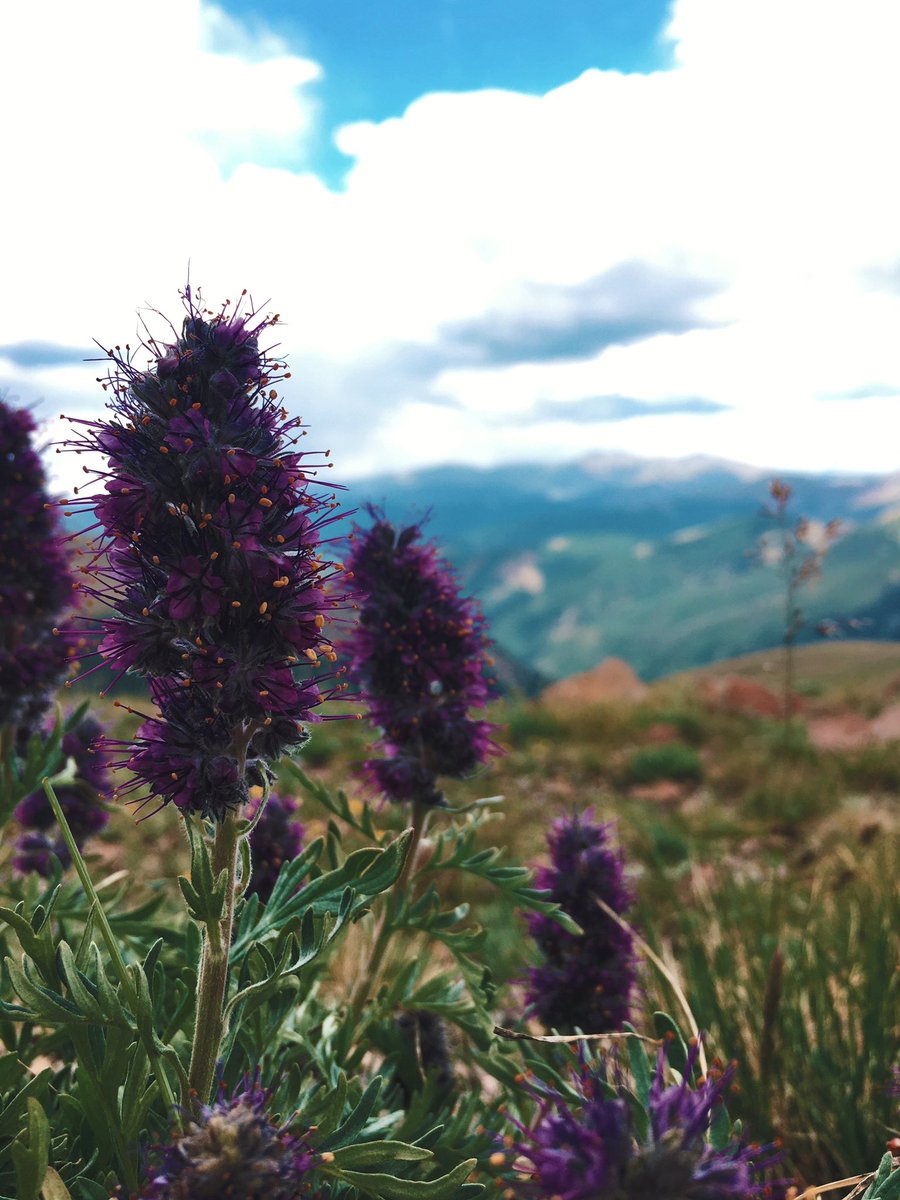 janae_champlin's tweet photo. take a hike https://t.co/2H7oTdRgZ0