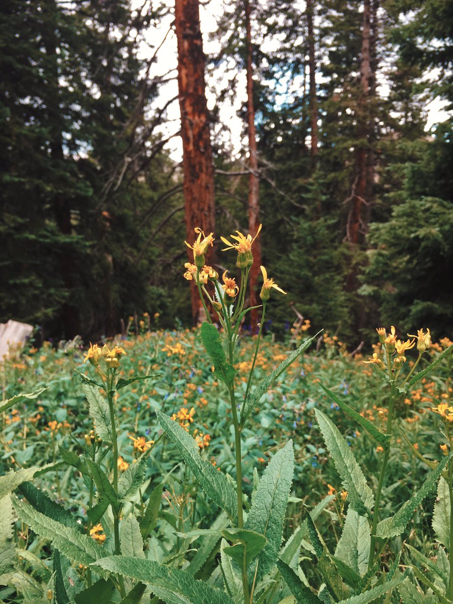 janae_champlin's tweet photo. take a hike https://t.co/2H7oTdRgZ0