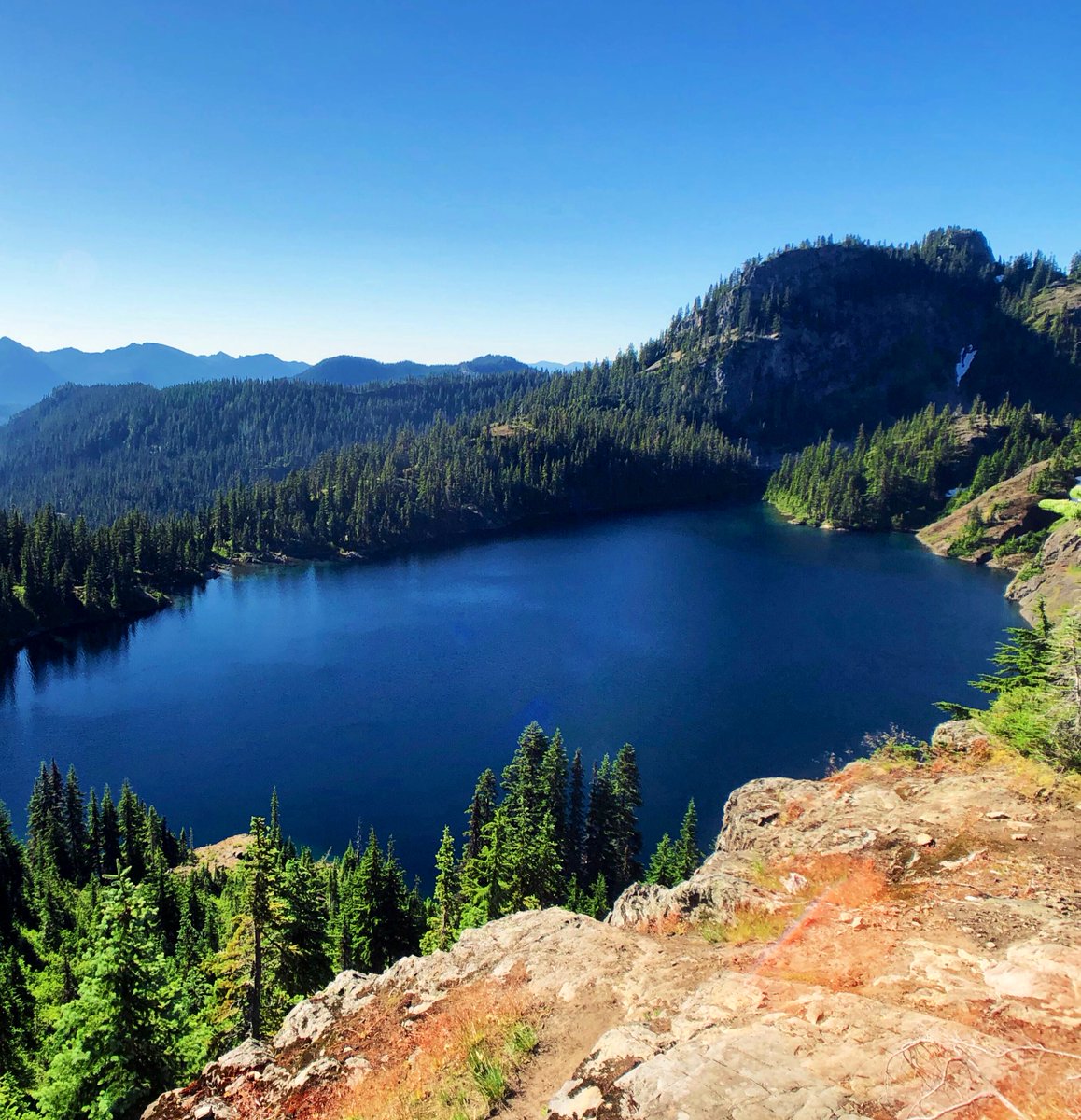 Scott Meis tweet media