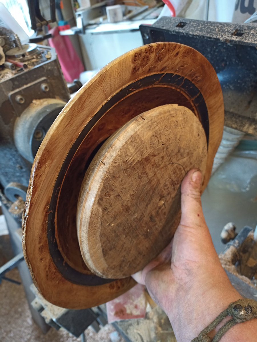 And the parent will provide offspring...possibly two...much better than more shavings to burn in the winter..