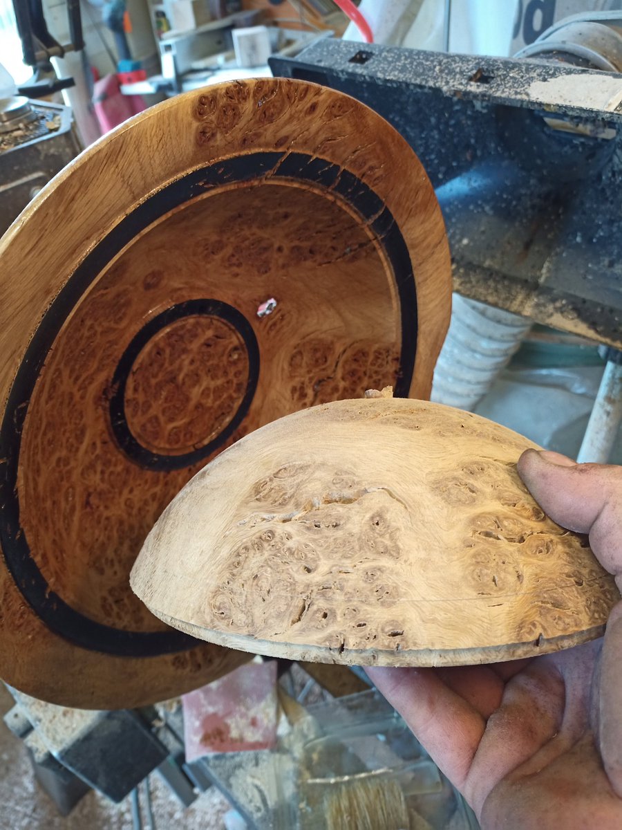 And the parent will provide offspring...possibly two...much better than more shavings to burn in the winter..