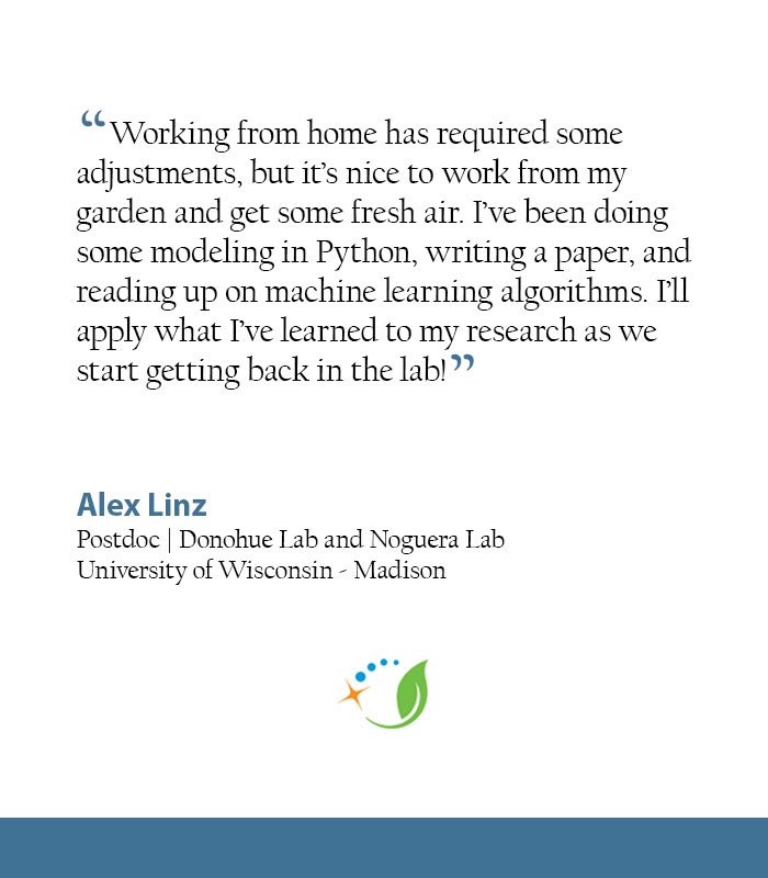 GLBioenergy's tweet photo. This week, we’re featuring Alex Linz (@amlinz16), postdoc in Donohue and Noguera labs @UWMadison, and her story of how #ScienceGoesOn in #GLBRCRightNow.
“Working from home has required some adjustments, but it’s nice to work from my garden and get some fresh air.” https://t.co/8Q0yUXK3qB